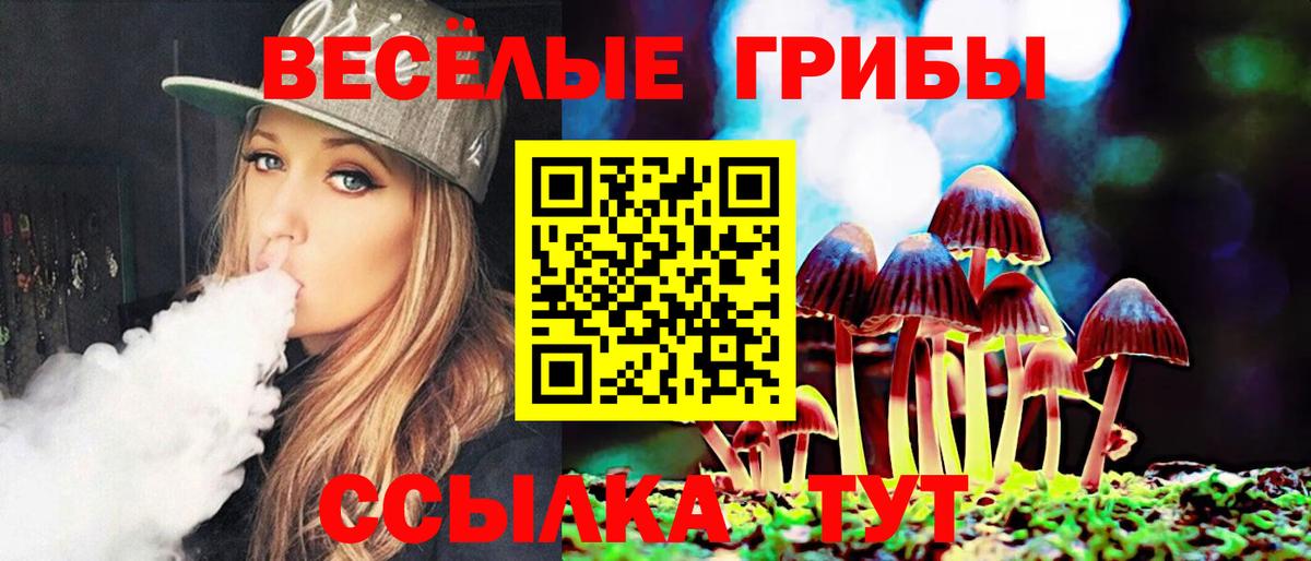 Галлюциногенные грибы Psilocybe  Псилоцибиновые грибы Cubensis  Вход с VPN  Назарово 